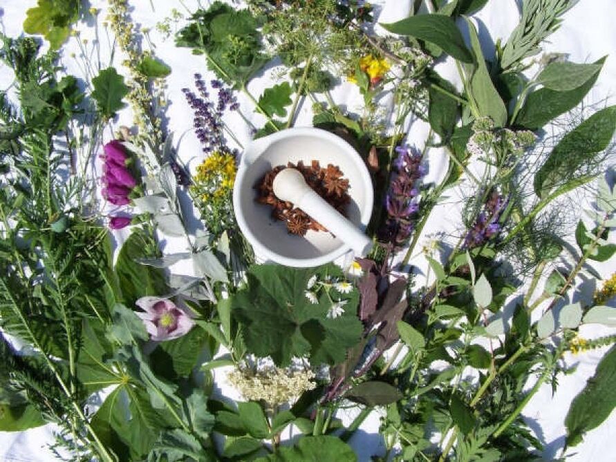 Herbs for potency